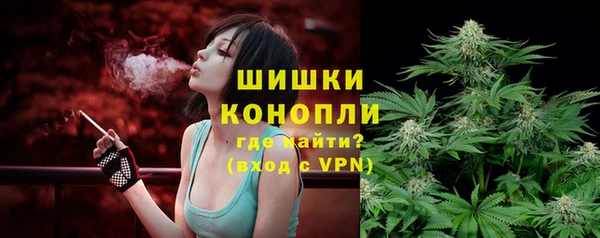 ПСИЛОЦИБИНОВЫЕ ГРИБЫ Балабаново