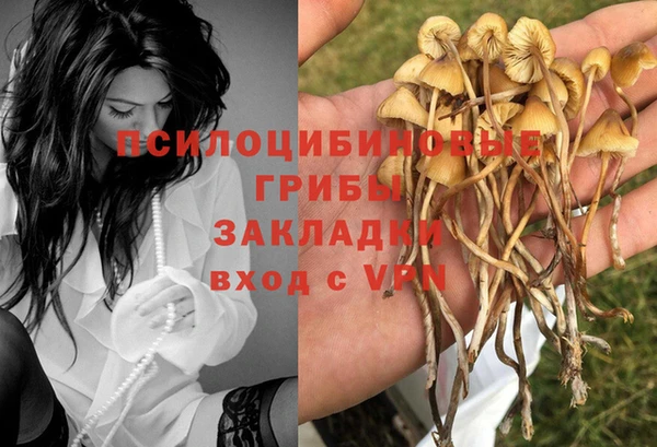 соль курить ск Алексин